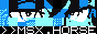 msx.horse site button. It is a glitching gif of a zoom-in of eyes with a blue color scheme. At the bottom of the button, it says >>MSX.HORSE